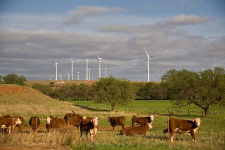 red hills wind farm red hills wind farm