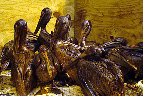 xprize-oilspill XPrize Oil Spill