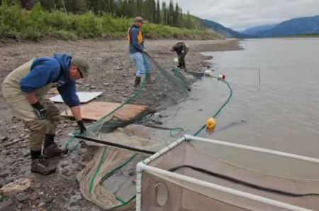 image via University of Alaska-Fairbanks