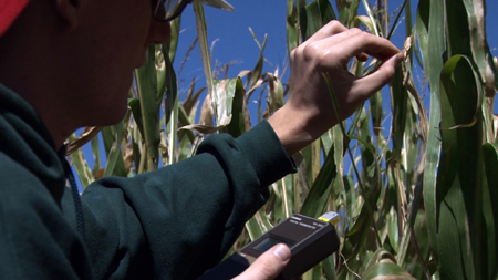 Wind turbines benefit farmland