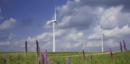 wind power