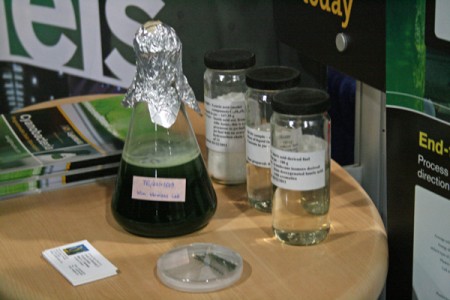 arpae-6 Photosynthetic Bacteria: Arizona State University