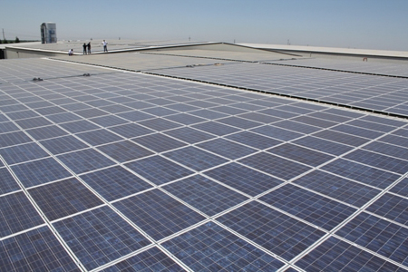 Suntech solar panels