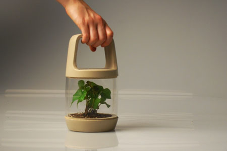 Eco-lantern