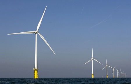 nuon Dutch offshore wind-power study, environmental impact