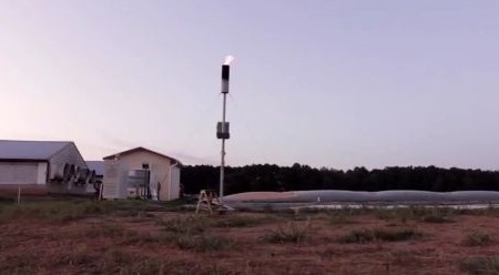 googlehog1 hog farm waste to energy plant, Google, Duke
