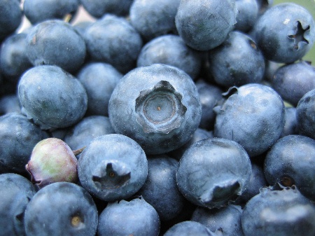 blueberries