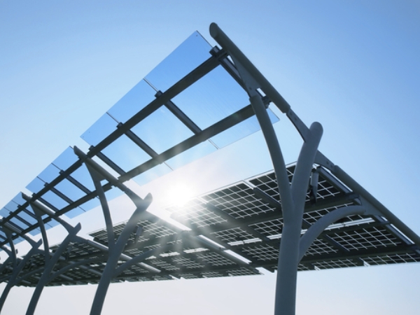 Solar Panel Canopy