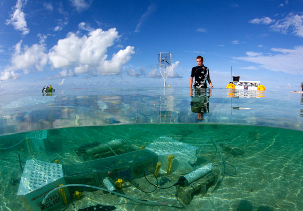 Stanford Coral Reef Laboratory Stanford Coral Reef Laboratory