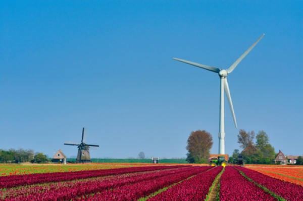Wind Turbines and Tulips Wind Turbines and Tulips