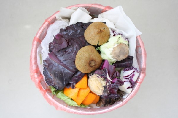Food Waste Leads To Eco Guilt