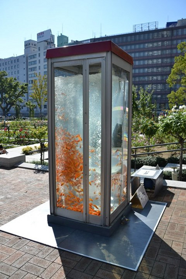 kingyobu phone booth kingyobu phone booth