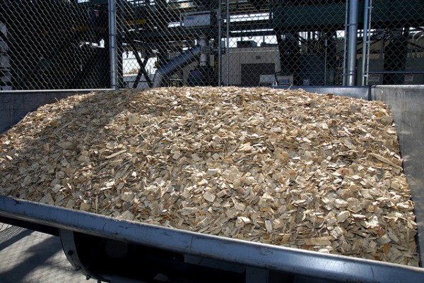 cellulosic ethanol