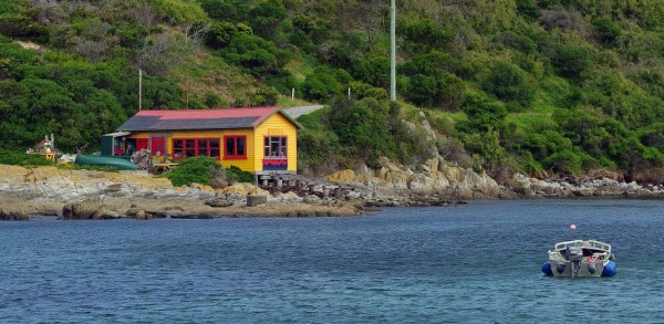 image via King Island Tourism