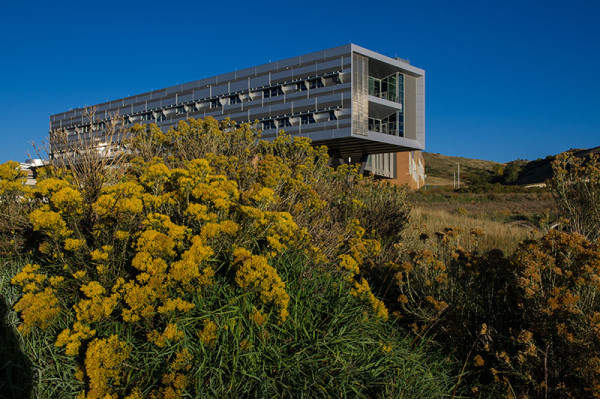 According to the Sustainable NREL team, "from a vegetation standpoint, it's all about stewardship." Safely eliminating weeds from NREL's site keeps them from spreading into the adjacent neighborhoods. (image credit: Dennis Schroeder/NREL)