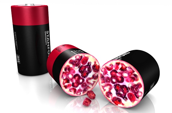 pomegranate battery
