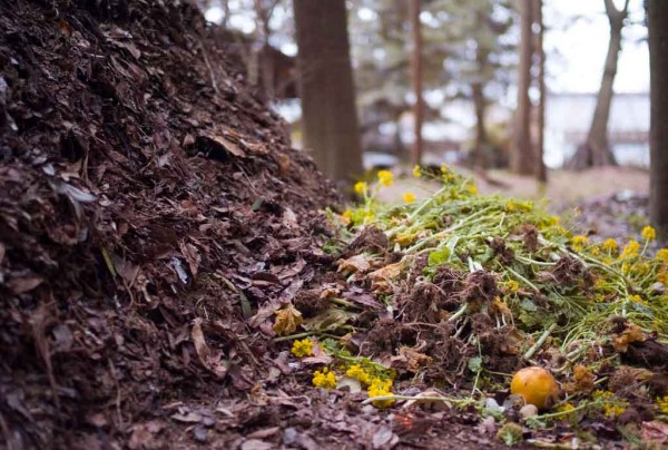 compost