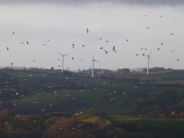wind_turbines