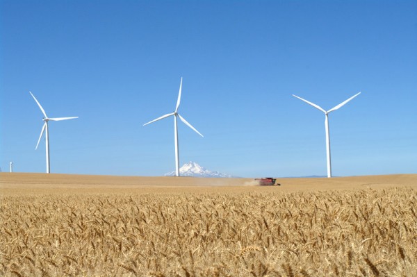 wind power