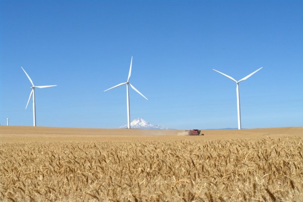 wind power