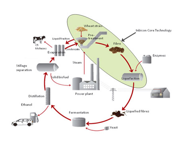 Inbicon Biomass Refinery | EarthTechling