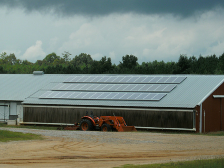 Solar Poultry