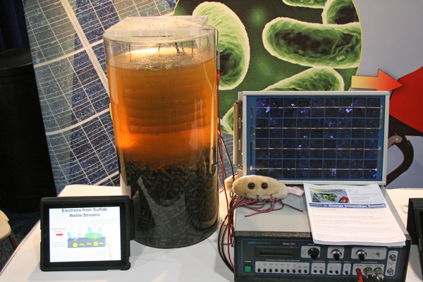 Microbial Electrosynthesis: University of Massachusetts