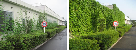 kyocera-green