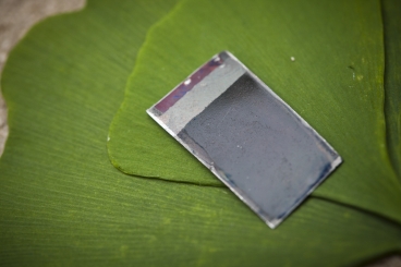 artificial-leaf