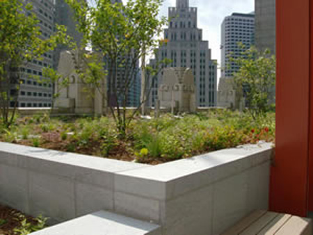 view from EPA Boston headquarters green roof