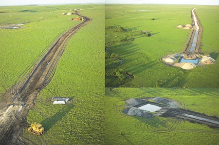 tallgrass kansas wind power wildlife impact
