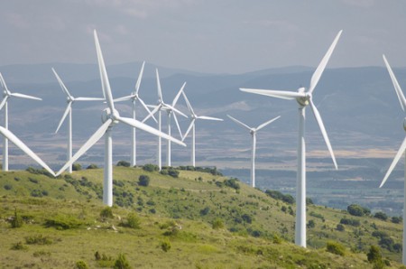 wind power and birds