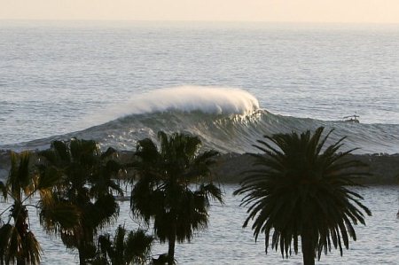 the wedge