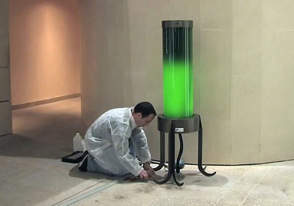 Calleja C02 Algae Lamp