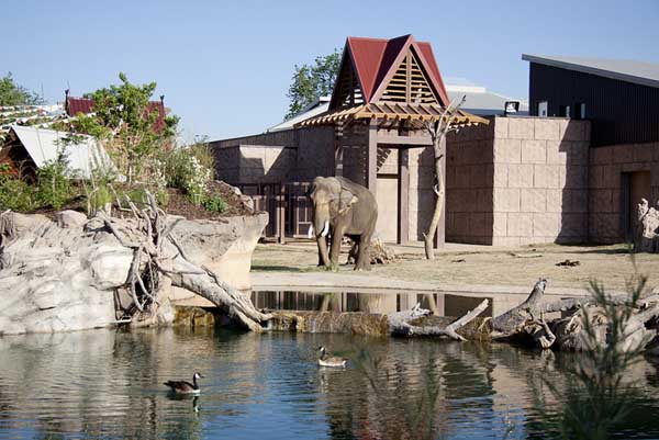 Denver Zoo Elephant Passage