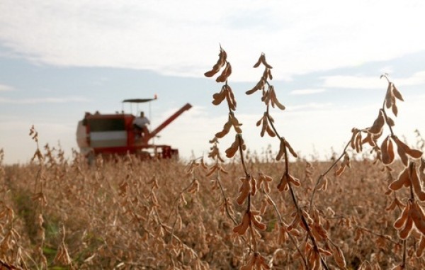 soybean field, biodiesel