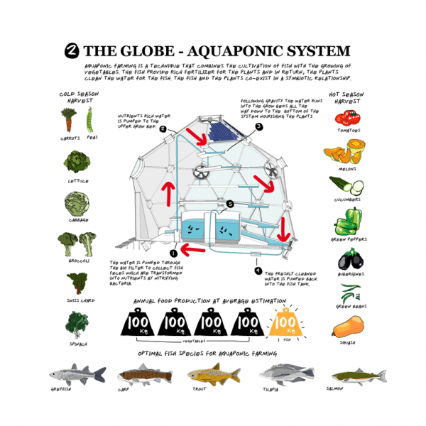 Globe/Hedron System Globe/Hedron System