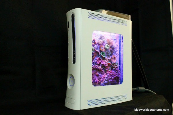 blueworldaquariums-upcycled-xbox blueworldaquariums-upcycled-xbox
