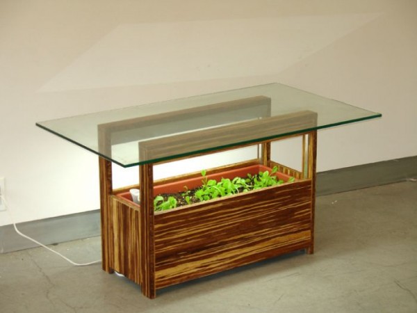 vegetable-coffee-table