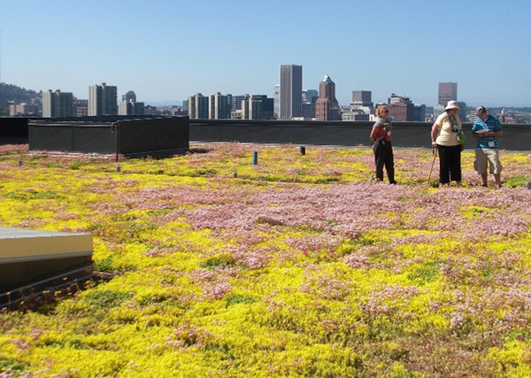 green roof portland