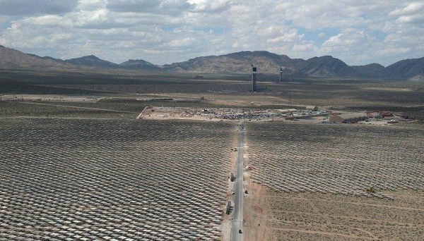 ivanpah birds power tower