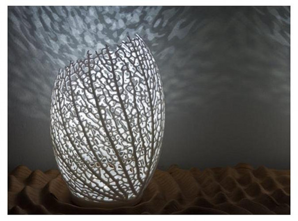 Three-D Hyphae lamp Three-D printed Hyphae lamp