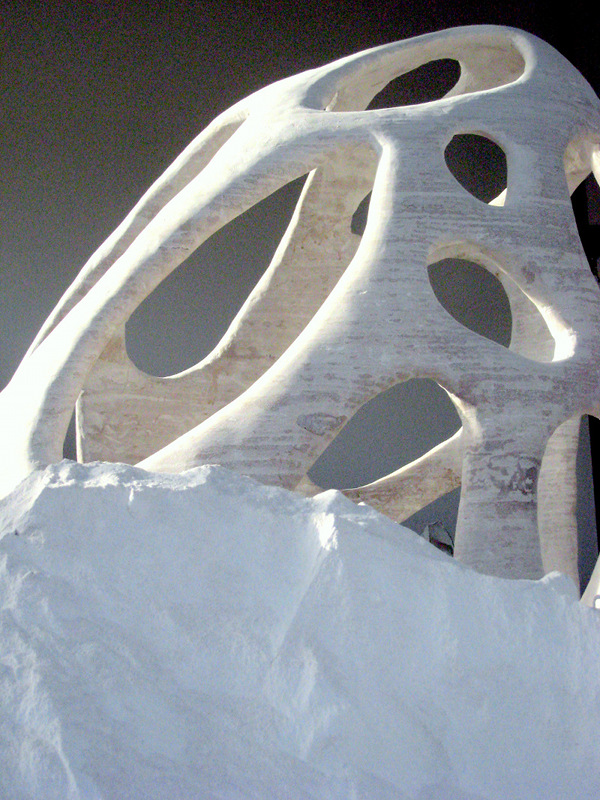 three-D radiolaria gazebo three-D printed radiolaria gazebo