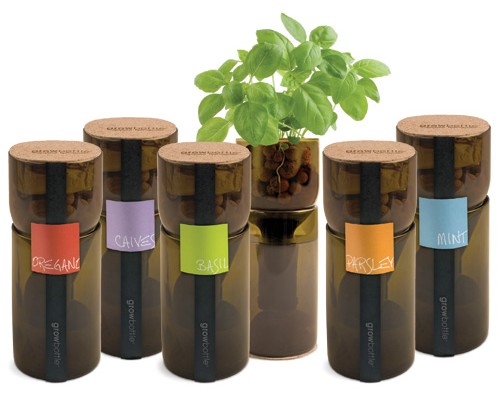 growbottle, hydroponic, garden, indoor gardening, recycled materials, wine bottle