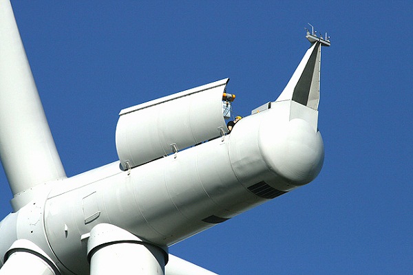 wind energy deaths