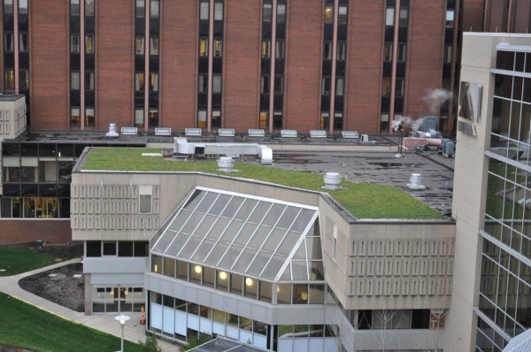 Image of Aultman Hospital's green roof via PRWeb