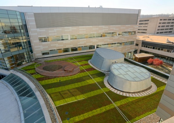 The green roof at Children's Hospital in Hershey, Pa., includes a wooden observation deck for patients and families. Image via LiveRoof.