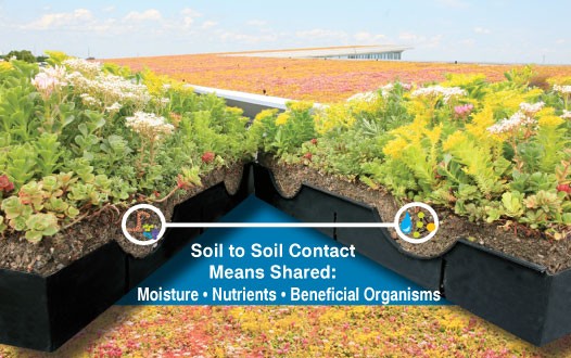 An illustration of how the LiveRoof system helps distribute water and nutrients to each modular section. Image via LiveRoof.