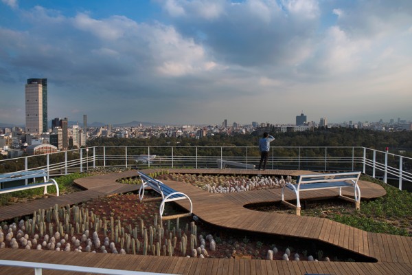 Former office tower helipad xeriscaped as a new green roof in Mexico City. Image via Rojkind Arquitectos.