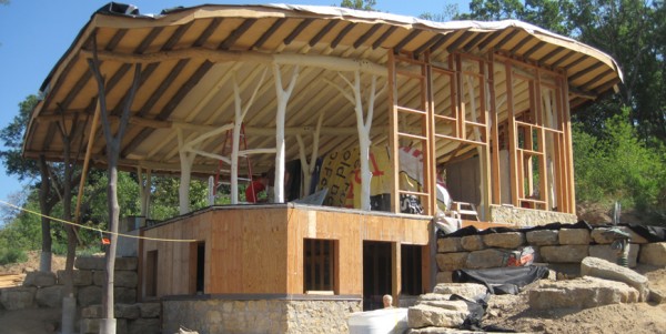 The Underhill Residence under construction, showing the round-wood timbers and y-shaped natural support posts. Image via WholeTrees Architecture & Structures.